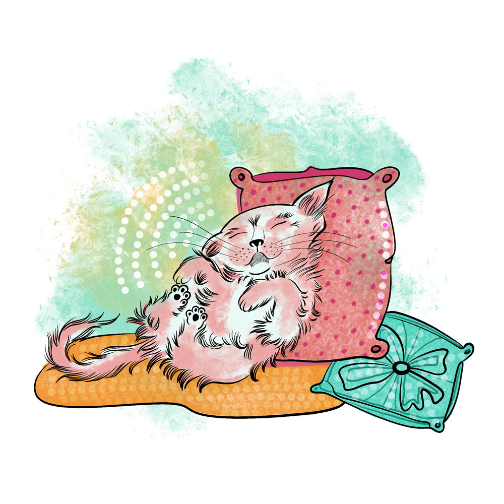 cat_sleeping_suemaistro2