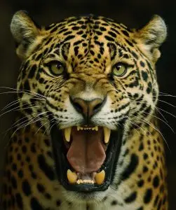 forgiveness, pardon, absolution, letting go, release, reconciliation, mercy, compassion, grace, acceptance, amnesty, exoneration, remission, forbearance, clemency, healing, spiritual release, emotional freedom, letting go of resentment, self-liberation